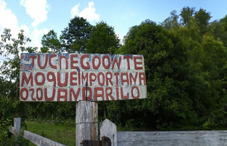 Amazônia das línguas entrelaçadas – parte III – por Marquelino Santana - News Rondônia