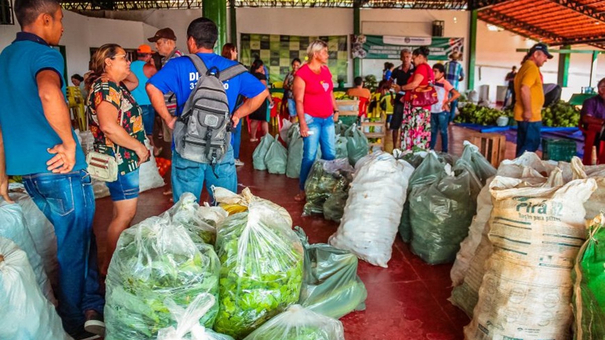 Programa da agricultura familiar contribui no combate à fome e pobreza em Rondônia - News Rondônia Programa da agricultura familiar contribui no combate à fome e pobreza em Rondônia