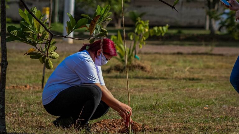 Educação Ambiental Itinerante é o tema da Semana do Meio Ambiente deste ano