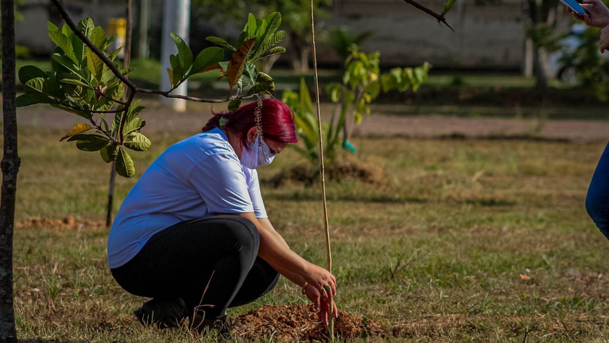 Educação Ambiental Itinerante é o tema da Semana do Meio Ambiente deste ano