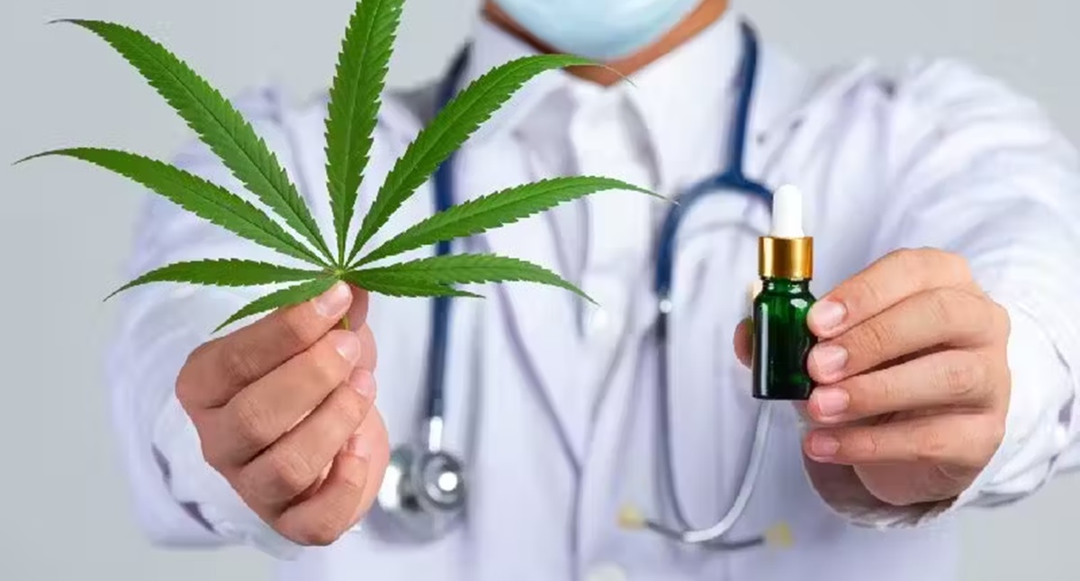 SUS vai tratar doenças com Cannabis, Veja quais
