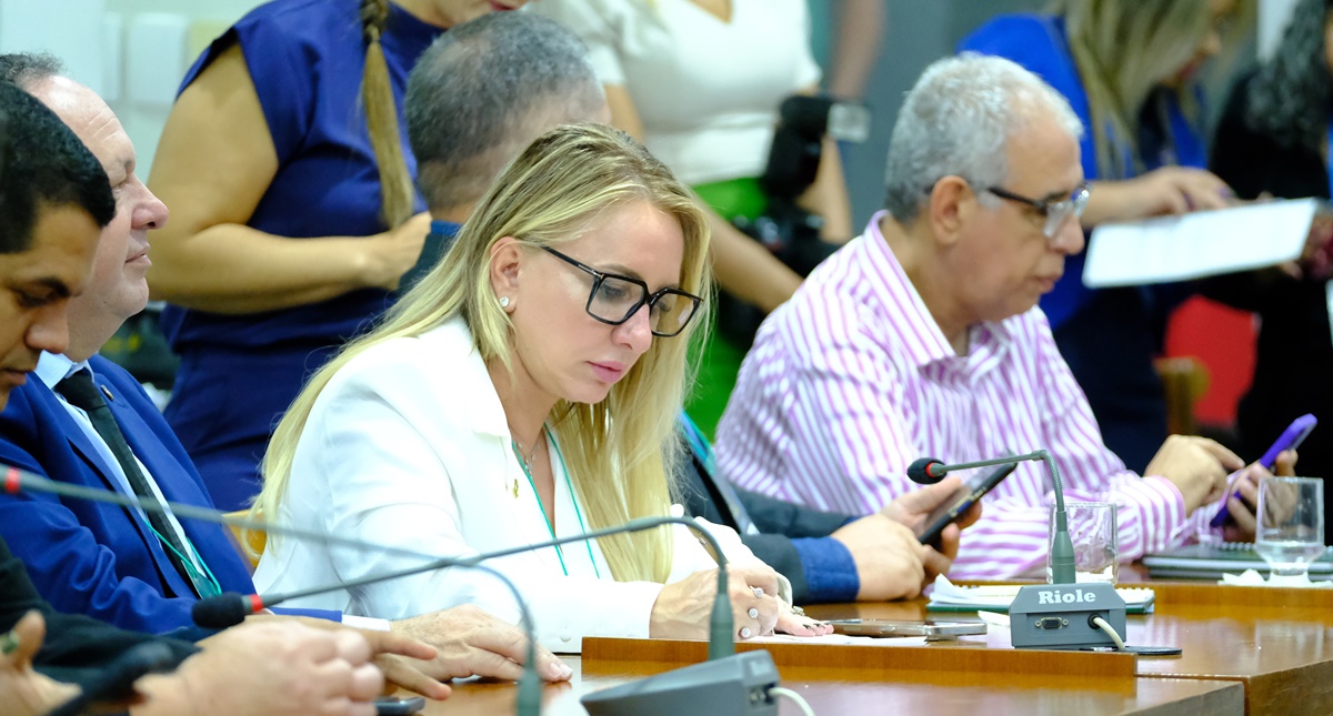 Ieda Chaves defende o alinhamento de estratégias durante debate no Parlamento Amazônico