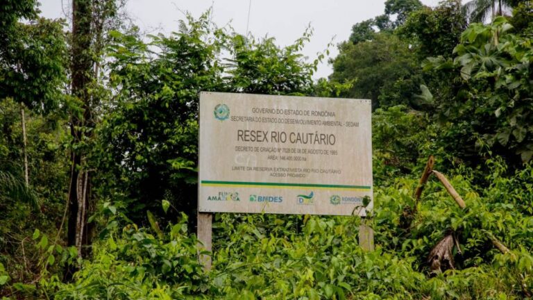Famílias da Resex Rio Cautário enfrentam desafios com estradas e pedem apoio da deputada Lebrinha