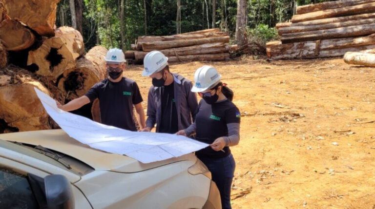 Planos de Manejo Florestal da Sedam garantem colheita florestal e reforçam a economia local - News Rondônia