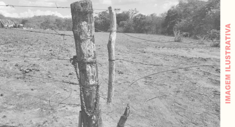 Fechando o cerco: Lei que passa a vigorar em Rondônia proíbe que invasores de terra recebam benefícios sociais do Governo - News Rondônia