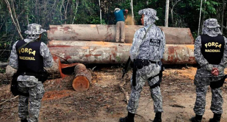 Coluna espaço aberto: Estudo revela que crime organizado vem crescendo e criando ramificações na Amazônia - News Rondônia