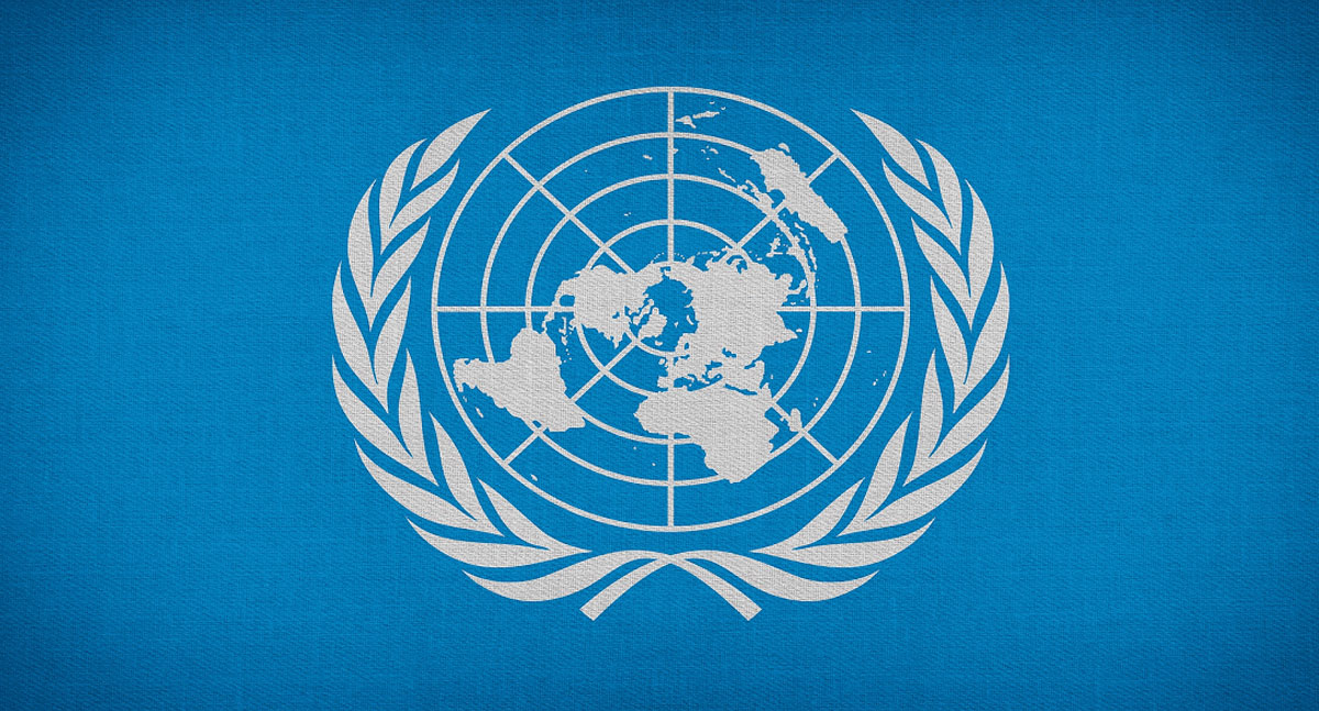 Coluna do Simpi – ONU lembra ao mundo da importância dos pequenos negócios - News Rondônia