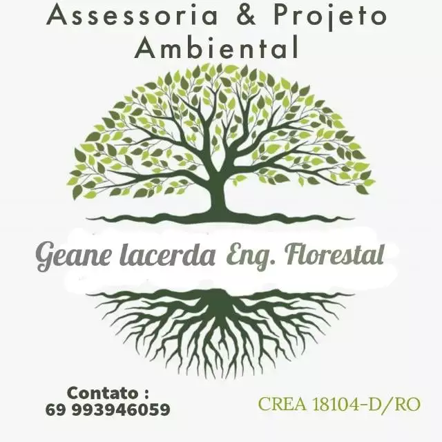 Recebimento da Licença Ambiental: ASSOCIACAO BENEFICIENTE CRIANÇA FELIZ - News Rondônia