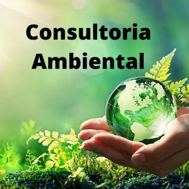Recebimento da Licença Ambiental: ESTETICA BTC PORTO VELHO LTDA - News Rondônia