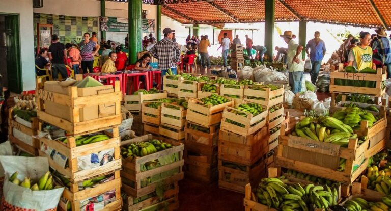 Deputada Cláudia de Jesus solicita do governo estadual avanços na economia solidária de Rondônia - News Rondônia