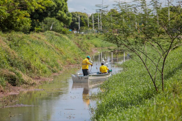 Decreto cria unidade para preservação de nascentes no Igarapé da Penal - News Rondônia