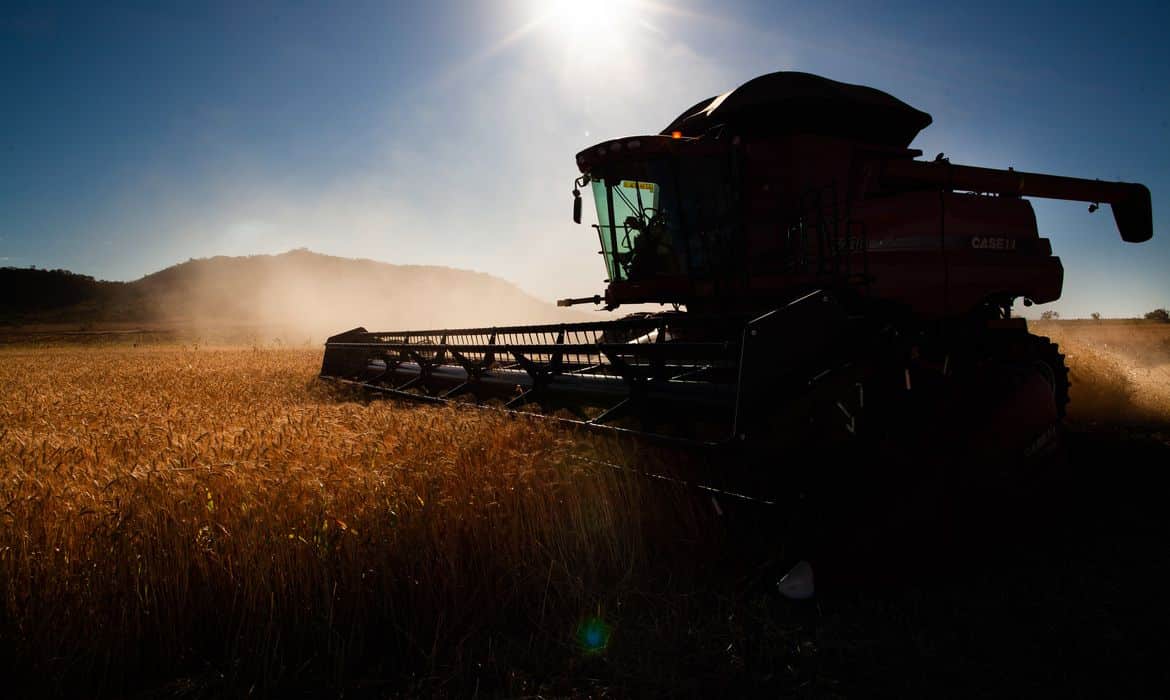 Monitoramento agrícola da Conab mostra que chuvas auxiliaram cultivos de feijão, milho e trigo
