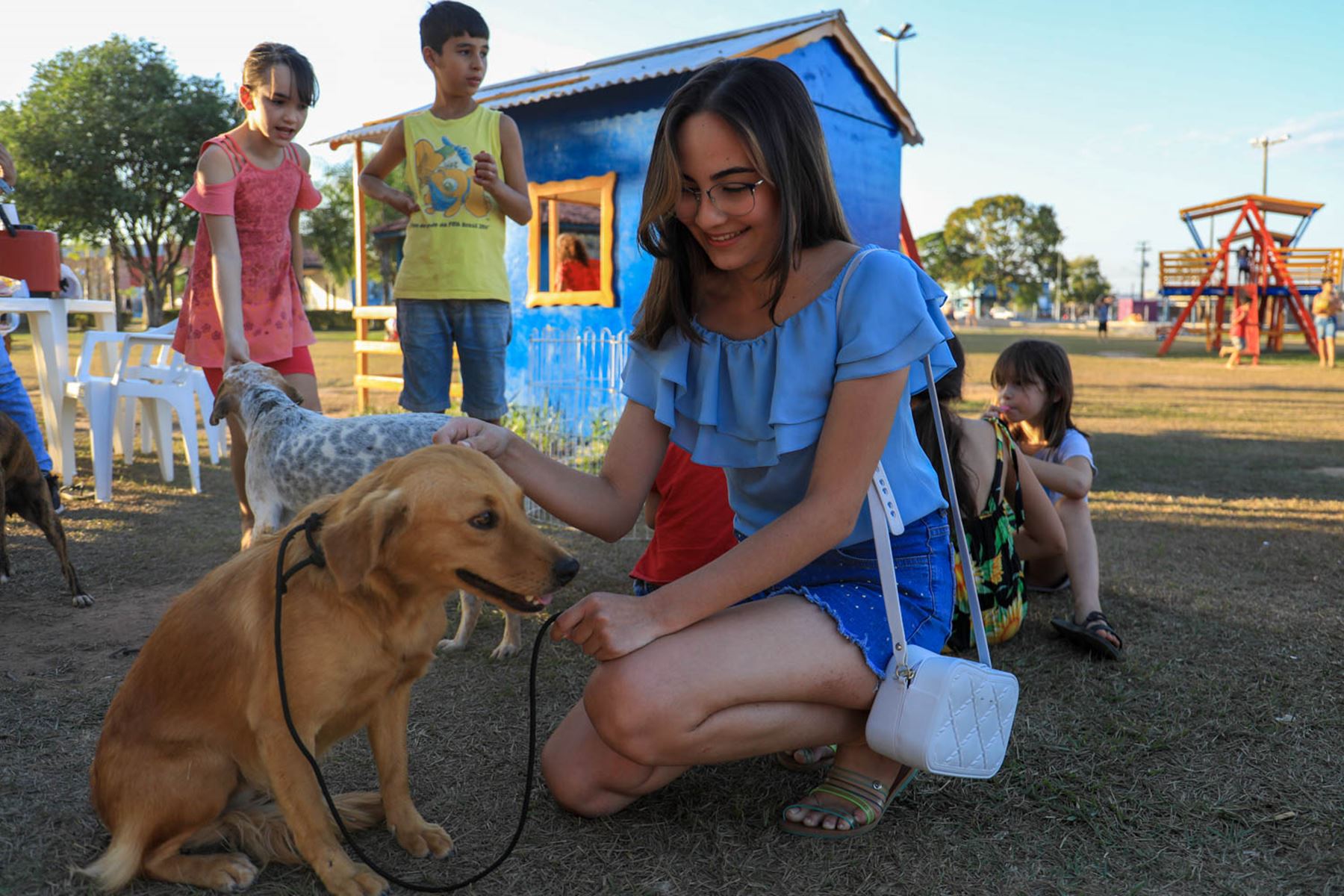 Sembpa realizou feira de adoção de animais no Cedel