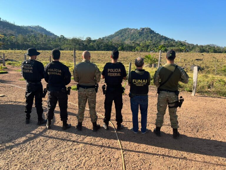 REI DO GADO: PF deflagra operação para combater exploração ilegal de terra indígena em RO