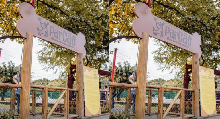 Vereadora Márcia Socorristas conquista construção de playground para pets no Skate Park