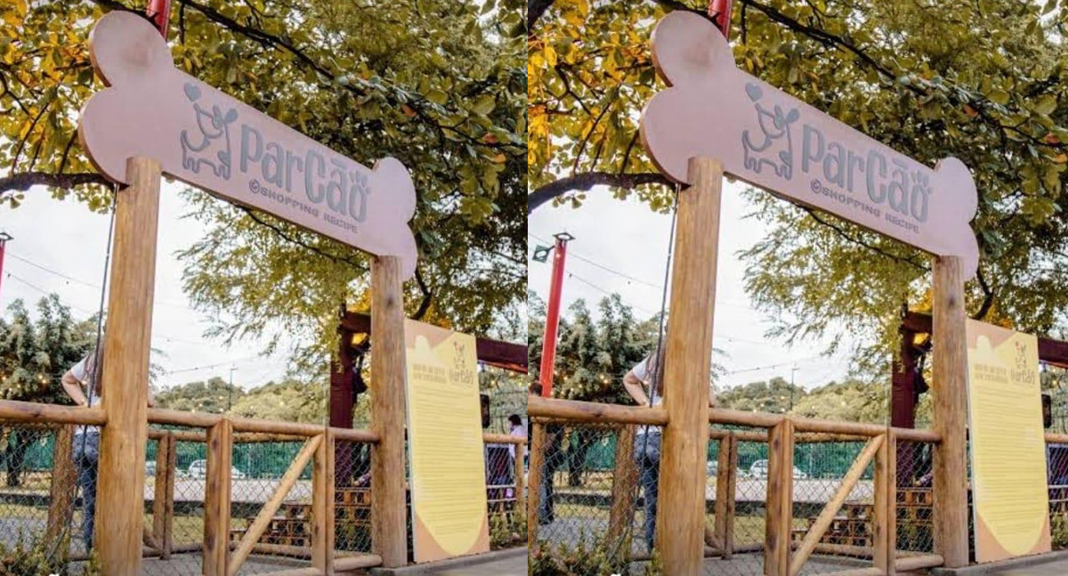 Vereadora Márcia Socorristas conquista construção de playground para pets no Skate Park