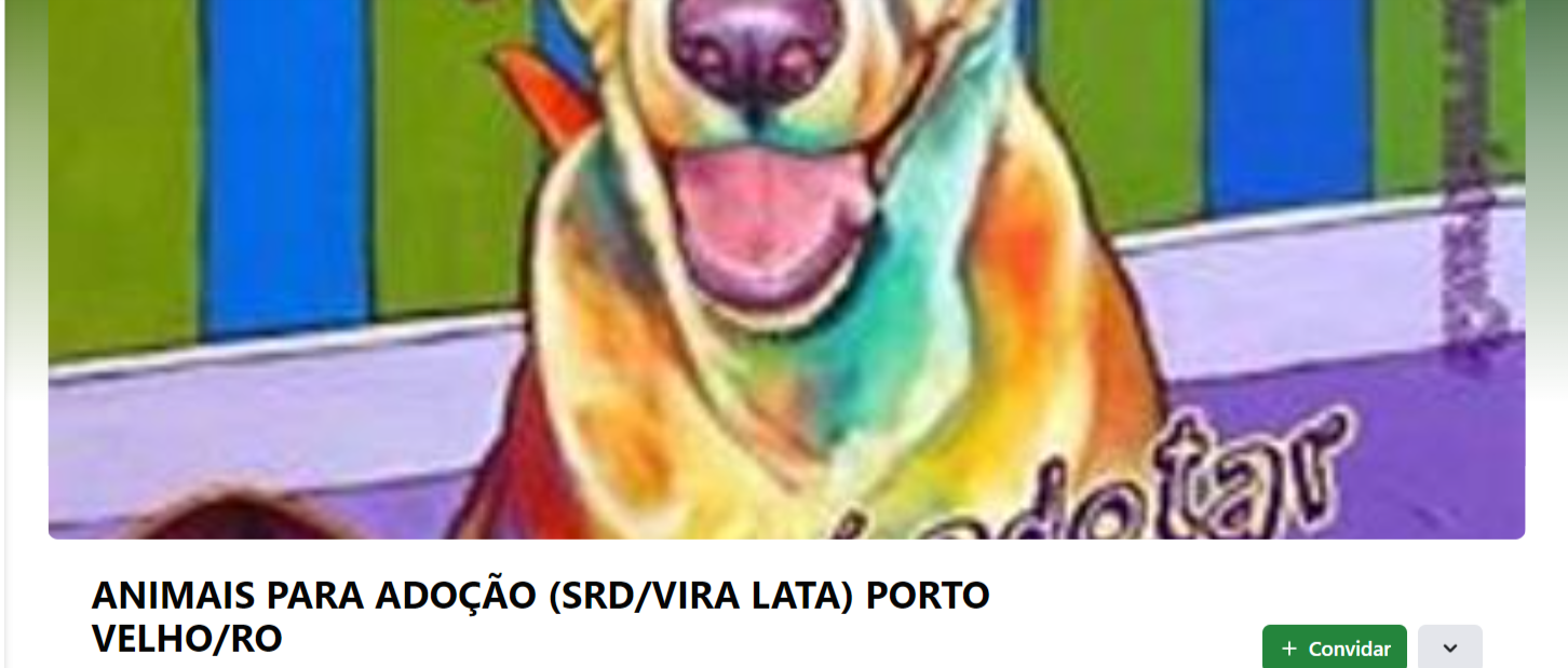 Busca pelo ‘cão Tarô’ virou uma espécie de mutirão on-line - News Rondônia