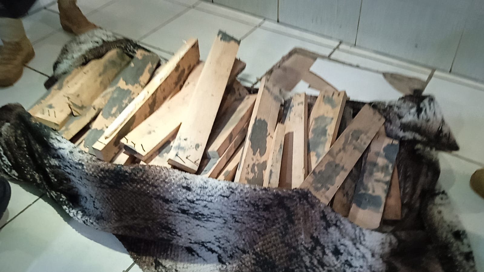 URGENTE: PRF apreende 40kg de cocaína com passageiro de ônibus em Porto Velho - News Rondônia