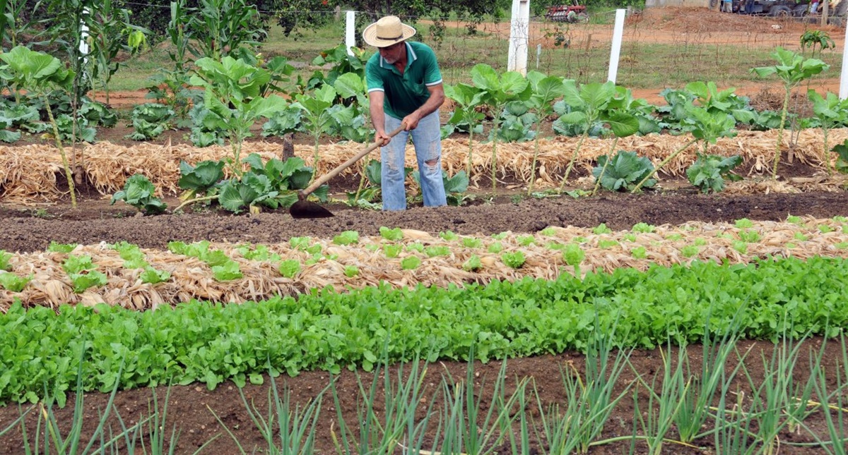 Fortalecimento da agricultura familiar é o pilar do governo de Rondônia no Dia Internacional da Agricultura Familiar