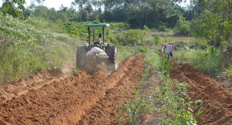 Fortalecimento da agricultura familiar é o pilar do governo de Rondônia no Dia Internacional da Agricultura Familiar