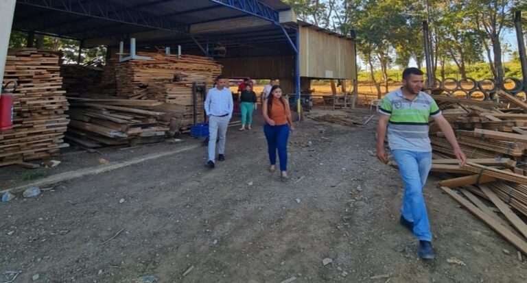 Emenda da deputada Dra. Taíssa é liberada e ativação da fábrica de blocos em Guajará-Mirim fica mais próxima de acontecer