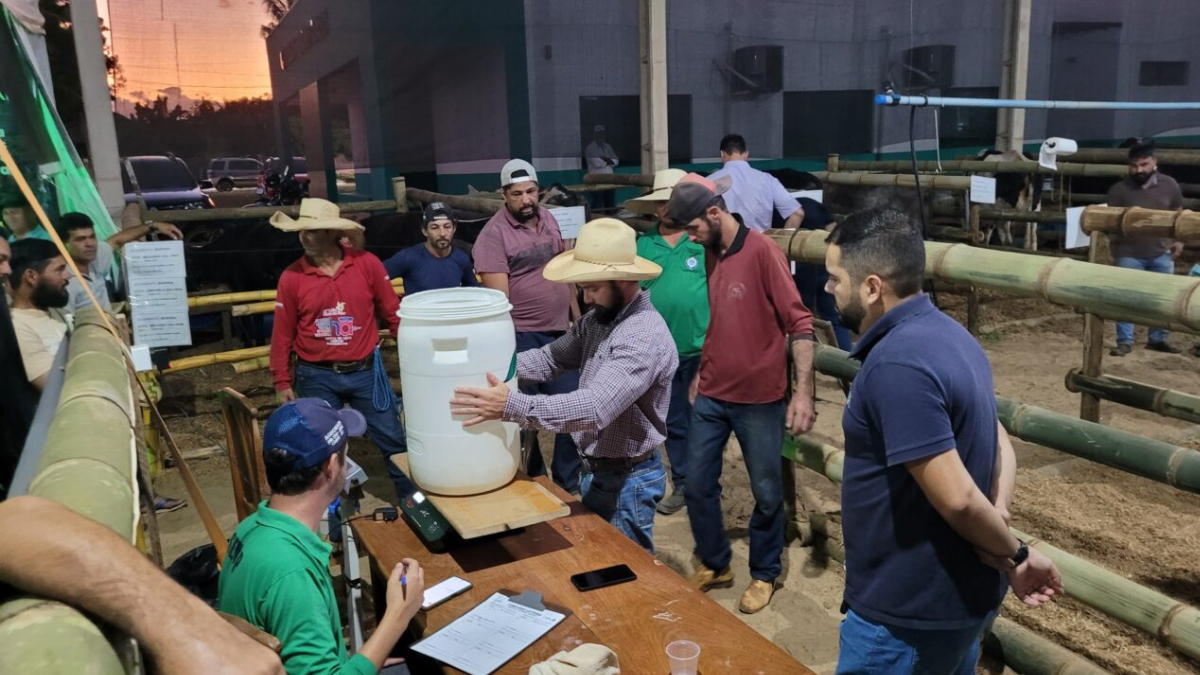 Concurso Leiteiro no município de Cabixi promove setor e incentiva pequenos produtores da região