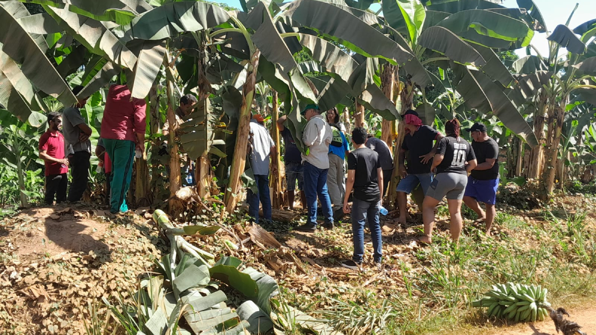 Produtores de banana recebem capacitação na comunidade de Cujubinzinho