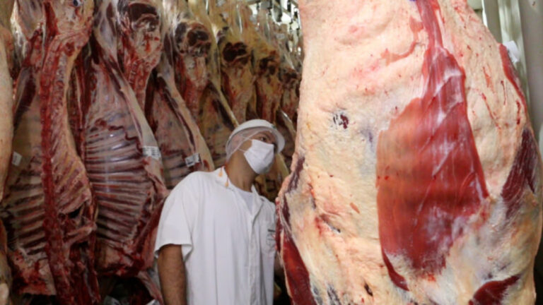 Em cinco meses, Idaron inspecionou mais de 18 mil toneladas de carne comercializadas em Rondônia