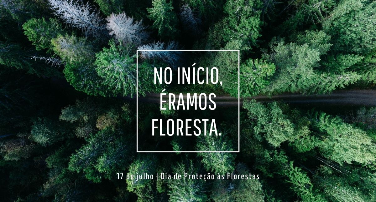 No Dia de Proteção às Florestas, Txai Suruí reafirma sua luta em defesa dos indígenas e da Amazônia - News Rondônia