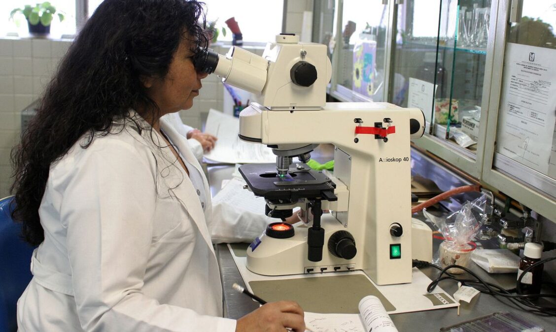 Prêmio chama atenção para desafios enfrentados por mulheres cientistas