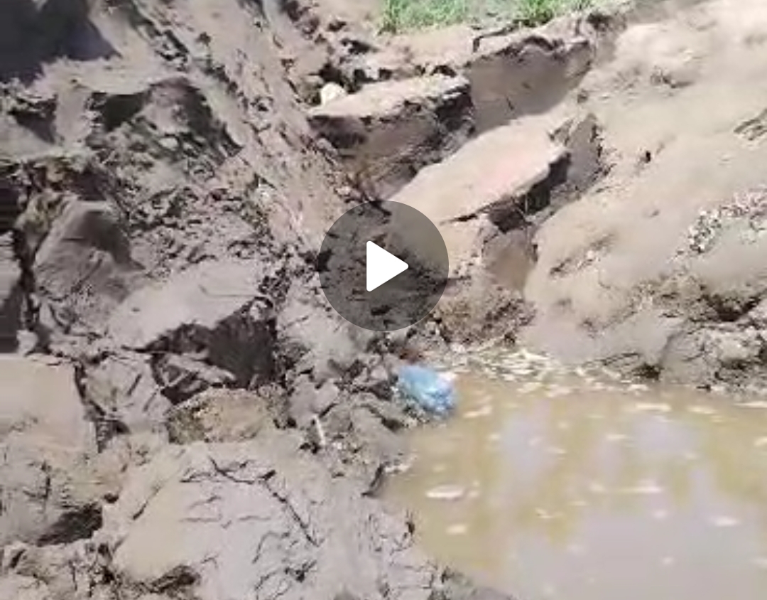 Vídeo mostra desmoronamento de barranco que matou duas pessoas no Rio Madeira - News Rondônia