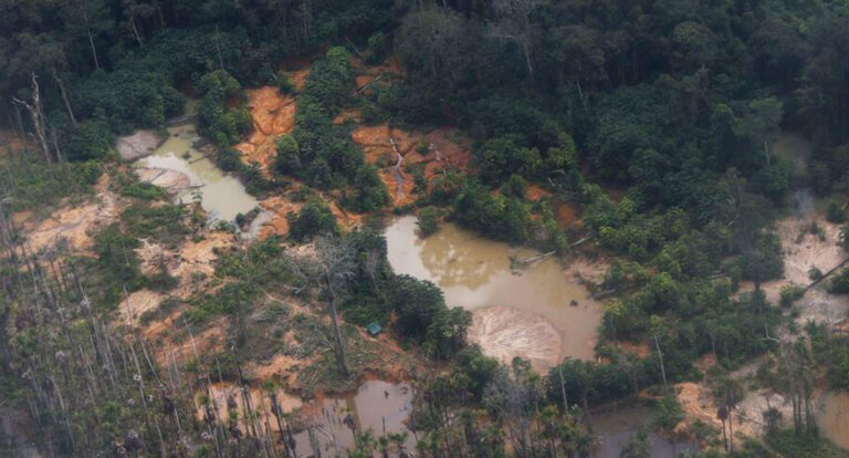 Ouro ilegal: órgãos deflagram operação e fecham garimpo entre Rondônia e o Amazonas - News Rondônia