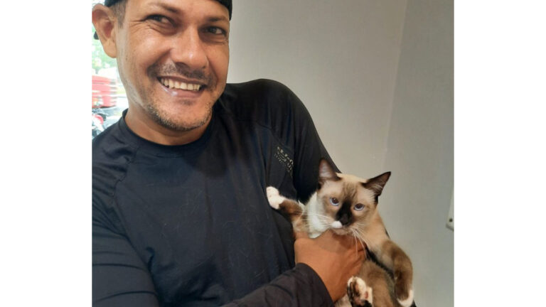 Prefeitura dá continuidade à castração gratuita de cães e gatos - News Rondônia