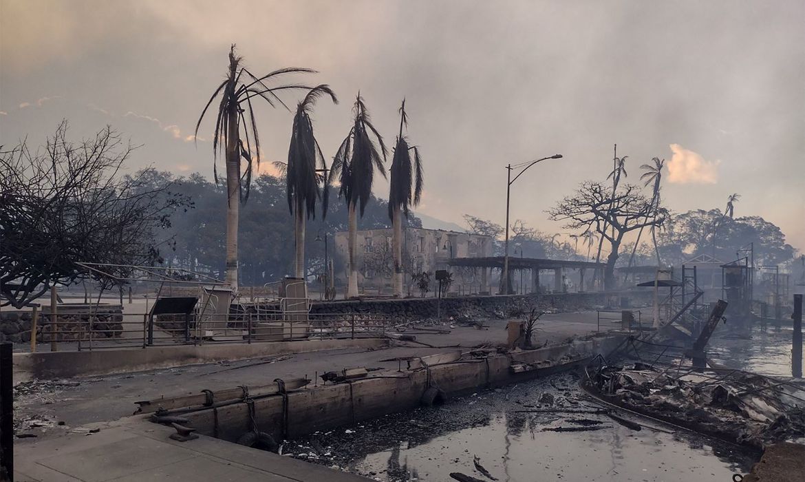 Sobe para 36 número de mortos em incêndios florestais no Havaí