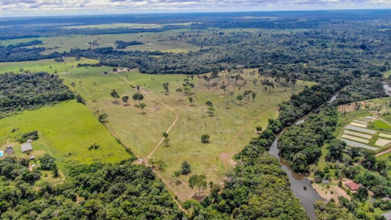 Prazo para a declaração do Imposto Territorial Rural começa nesta segunda-feira (14) - News Rondônia
