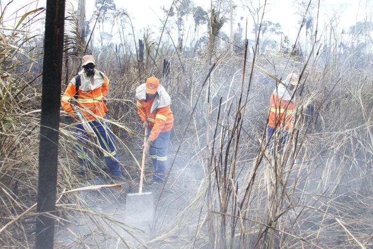 “Operação Verde Rondônia” combateu mais de mil focos de incêndios no Estado - News Rondônia