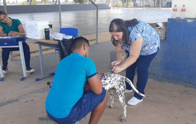 Mais de 300 animais foram imunizados durante vacinação itinerante em Jaci-Paraná - News Rondônia