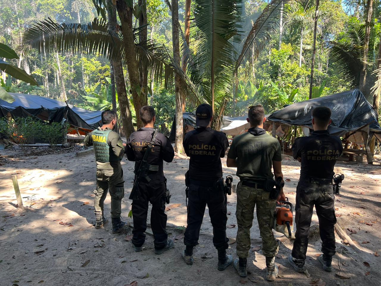 Polícia Federal combate crimes ambientais em terra indígena