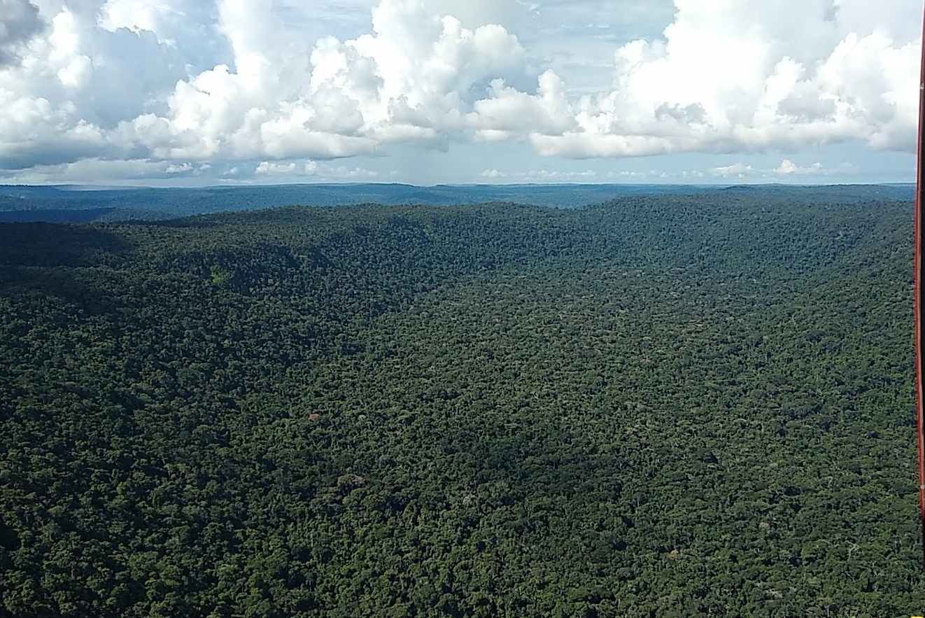Ação combate e retira ‘grileiros’ do Parque Estadual Guajará-Mirim - News Rondônia