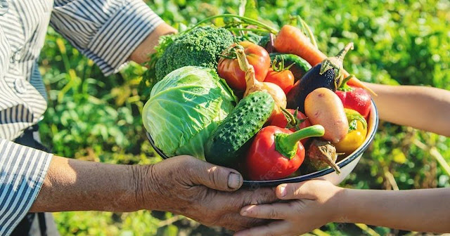 Cláudia de Jesus lembra importância do Programa de Aquisição de Alimentos do governo federal - News Rondônia