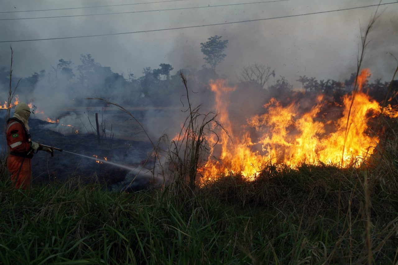 Rondônia registra queda de 72,6% nas ocorrências de incêndios florestais e Marcos Rocha reforça compromisso com a sustentabilidade - News Rondônia
