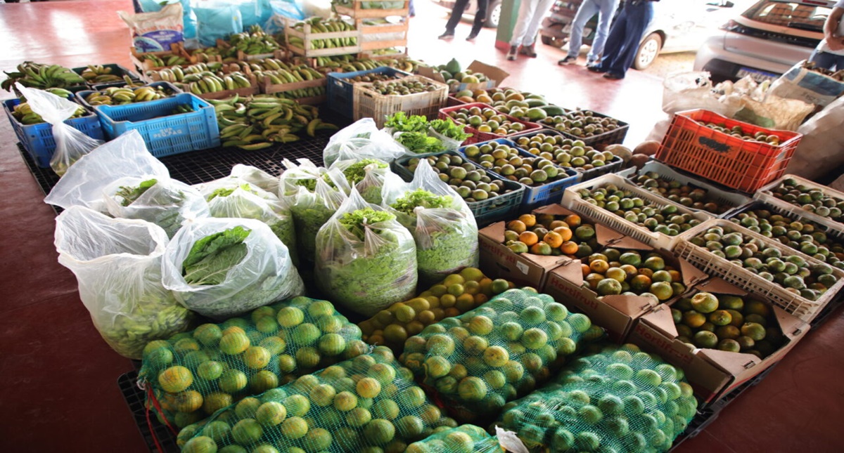 Governo de Rondônia recebe mais de R$ 2,8 milhões para compra e doação de produtos da agricultura familiar