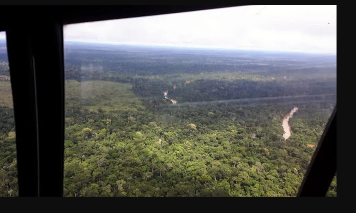 Ação combate e retira ‘grileiros’ do Parque Estadual Guajará-Mirim - News Rondônia