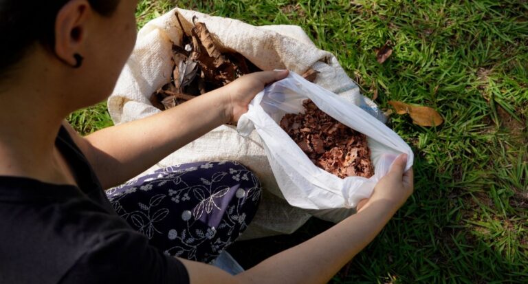Técnicas de compostagem são ensinadas a estudantes para evitar queimadas urbanas em Porto Velho