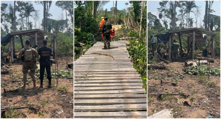 Polícia Federal deflagra operação contra extração ilegal de madeira em reserva indígena em Rondônia - News Rondônia