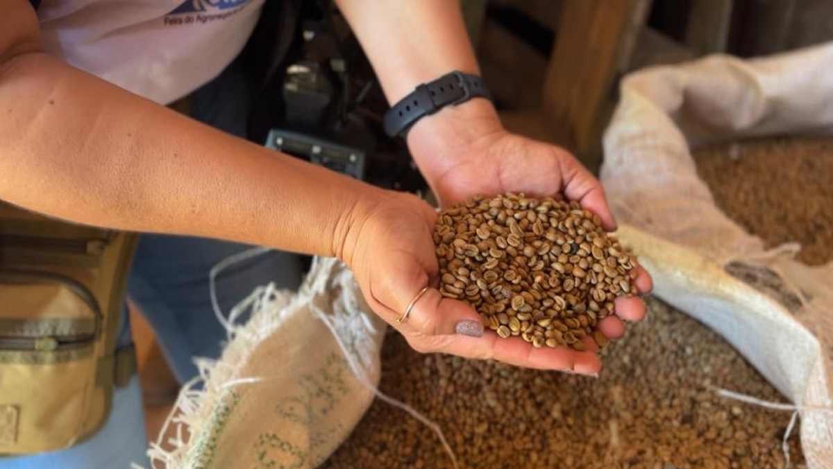 Auditorias nas propriedades rurais inscritas no Concafé vai elaborar Relatório de Sustentabilidade - News Rondônia