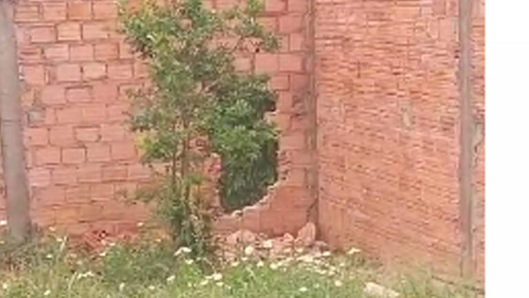 BURACO: Bandidos arrombam casa durante furto e atiram em moradores na hora da fuga - News Rondônia