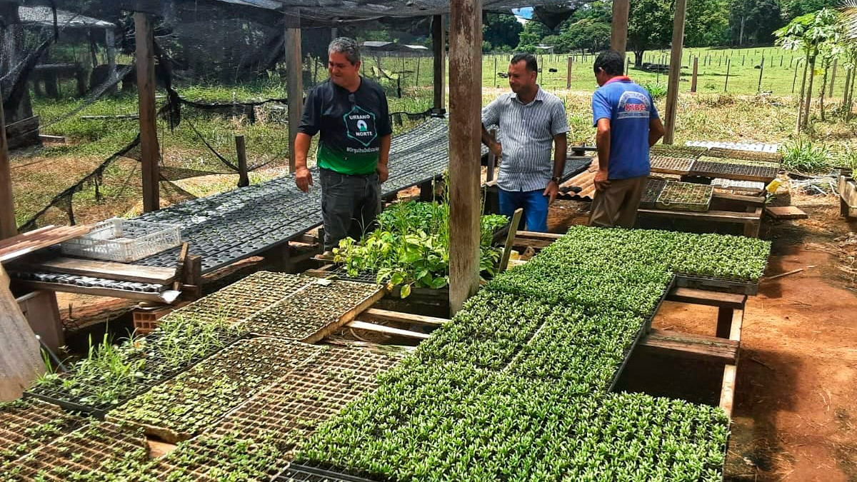 Agricultores de Costas Marques recebem incentivo para produção de hortaliças - News Rondônia