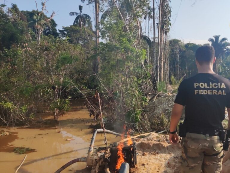 PF deflagra operação Desintrusão II em combate a invasores de terras indígenas em Rondônia