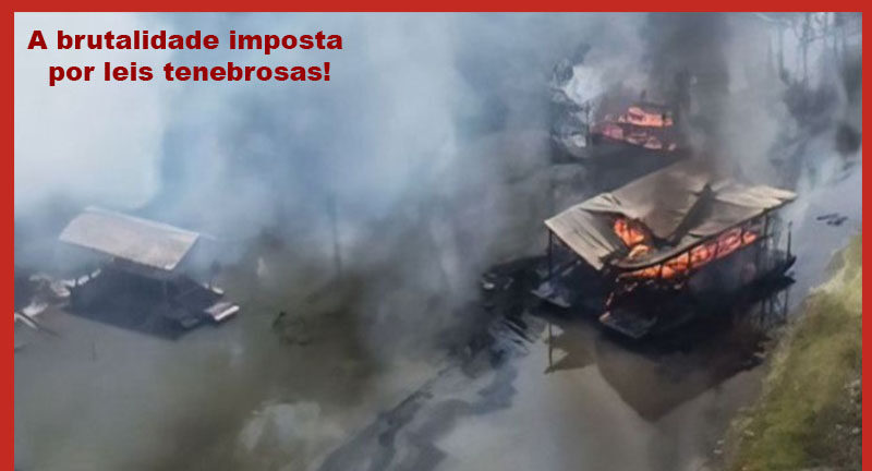 A BRUTALIDADE DE LEIS FEITAS PARA PROTEGER INTERESSES INTERNACIONAIS E SEUS EFEITOS COLATERAIS NA AMAZÔNIA
